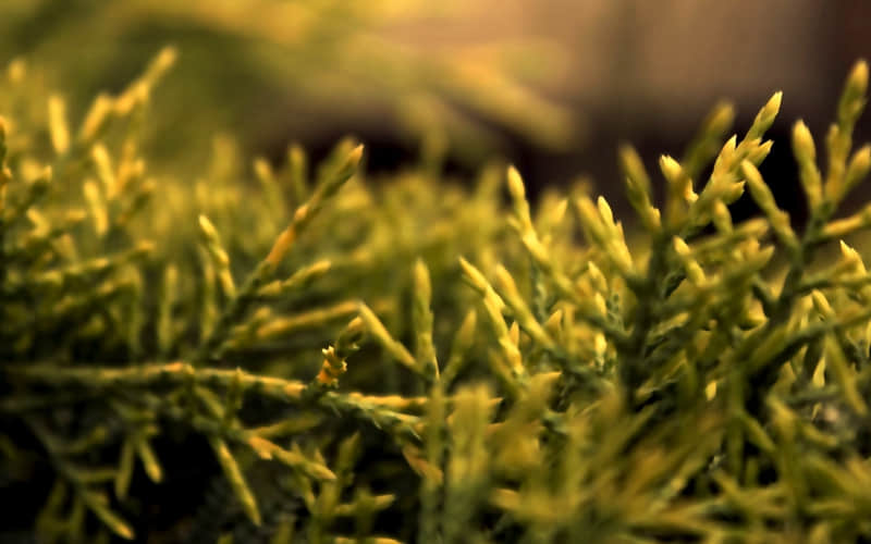 /. ��������Ȧһ��Ҫ������û�������������