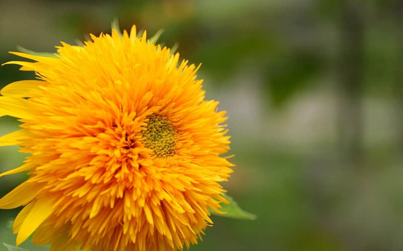 ���Ϲ��Ѿ���ʱ������������10�ֳƺ�