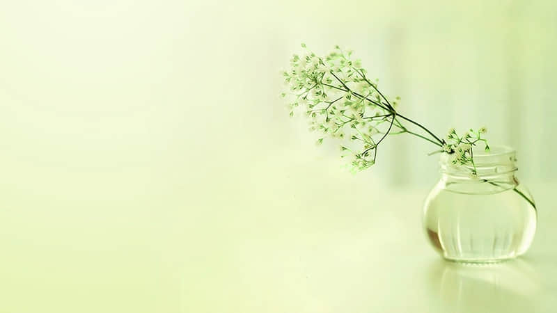 /.3�����һ���뷢һ����һ��������Ȧ