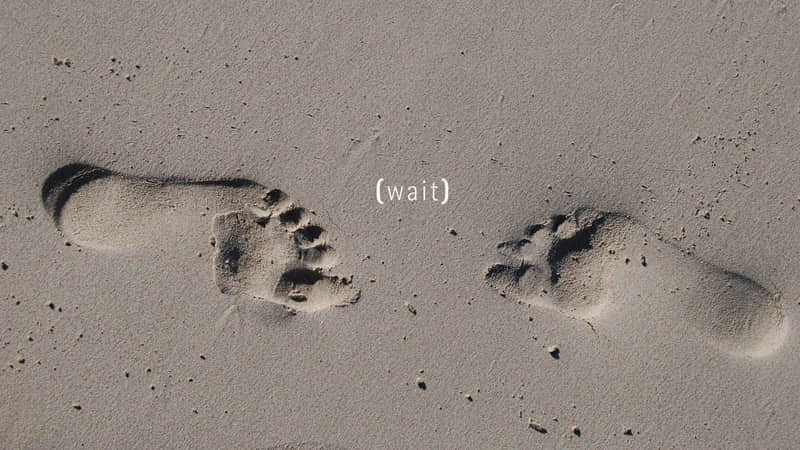 4���ϼ��������