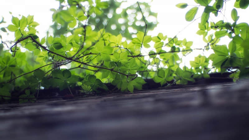 �������˸߼�һ����ô˵