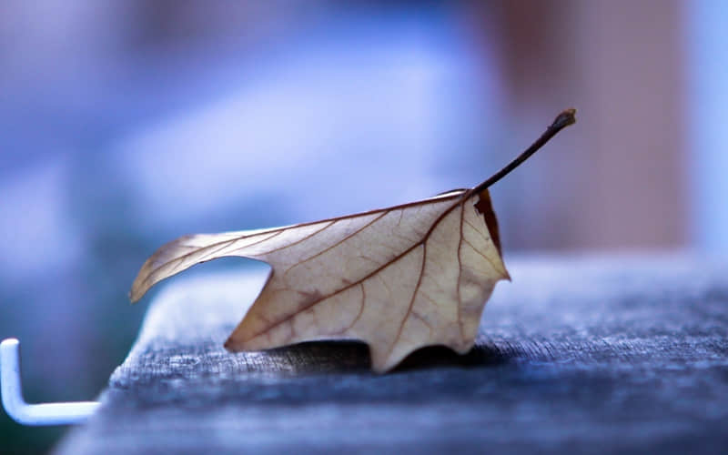 新的一天发个不一样的朋友圈_wishdown.com 新的一天发个不一样的朋友圈_wishdown.com