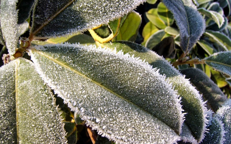 һ��Ů������������ʵ����������