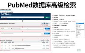 Pubmed官网怎么设置文献提醒_wishdown.com Pubmed官网管理文献提醒界面示意图