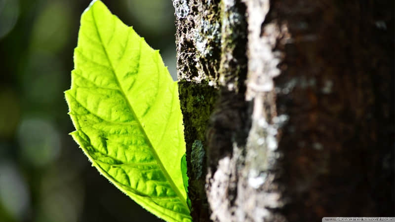 很容易聊出感情的10个话题_wishdown.com 很容易聊出感情的10个话题_wishdown.com