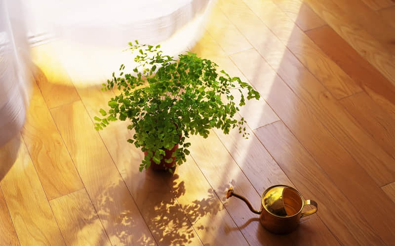 4��1����������Ȧһ��Ҫ������