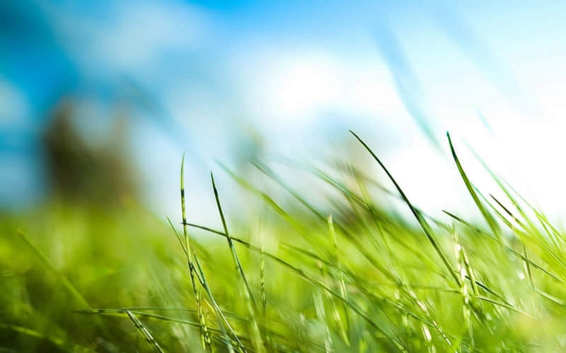 四月第一天 朋友圈一定要这样发_wishdown.com 四月第一天 朋友圈一定要这样发_wishdown.com