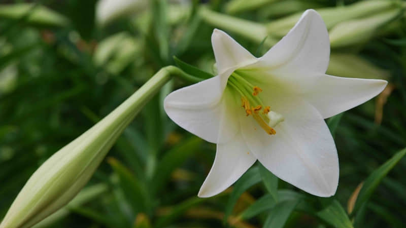 4��1������Ȧ��������