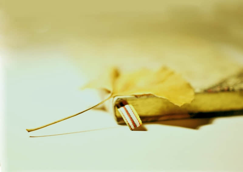 4��1������Ȧһ��Ҫ������