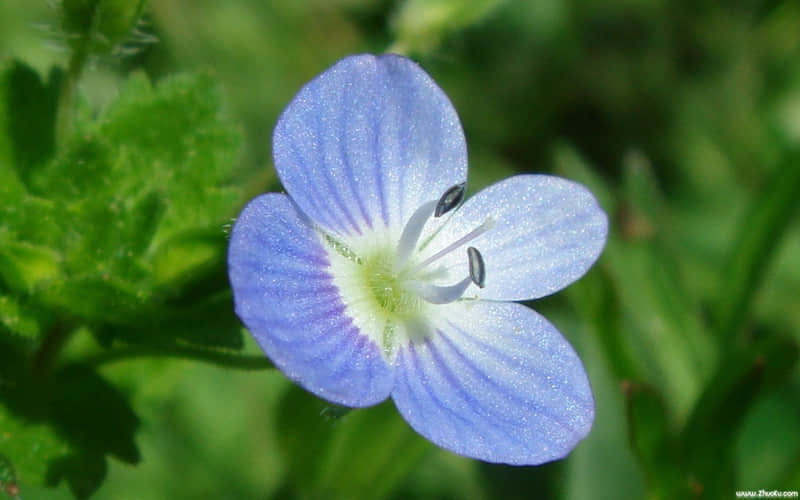 4月挑一句去旺自己_wishdown.com 4月挑一句去旺自己_wishdown.com