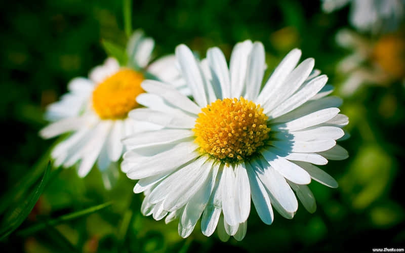 老己四月的第一天 朋友圈一定要这样发_wishdown.com 老己四月的第一天 朋友圈一定要这样发_wishdown.com