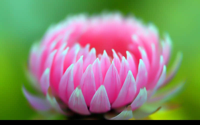 老己四月的第一天 朋友圈一定要这样发_wishdown.com 老己四月的第一天 朋友圈一定要这样发_wishdown.com