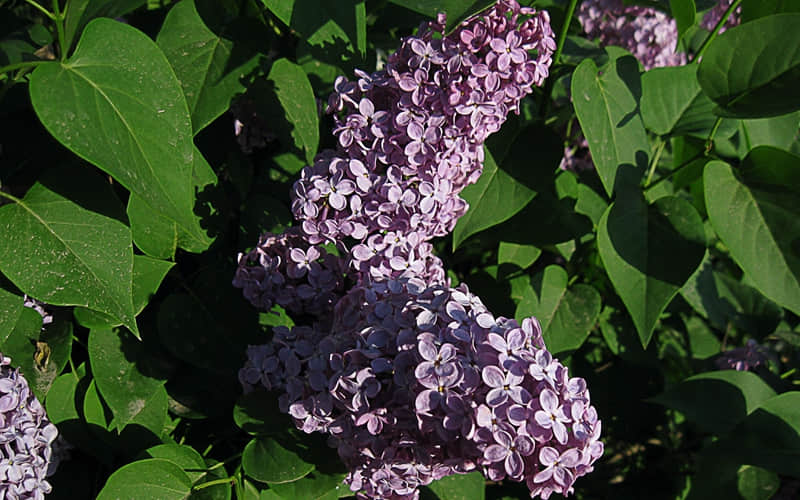 老己四月的第一天 朋友圈一定要这样发_wishdown.com 老己四月的第一天 朋友圈一定要这样发_wishdown.com