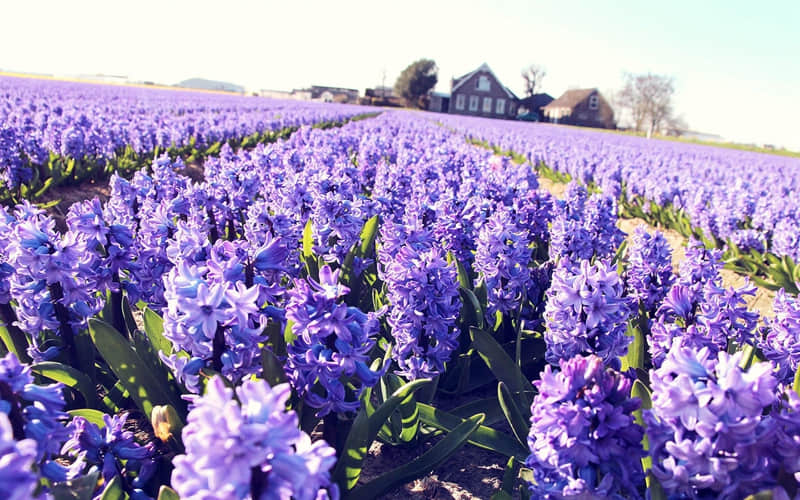 老己四月的第一天 朋友圈一定要这样发_wishdown.com 老己四月的第一天 朋友圈一定要这样发_wishdown.com
