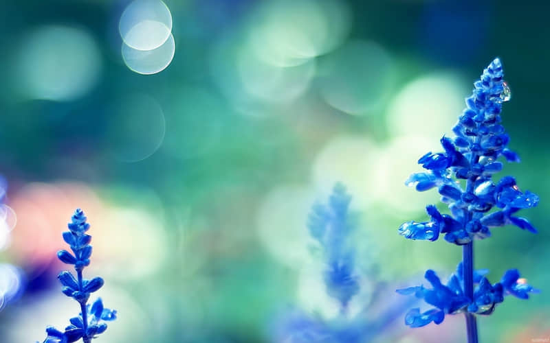 �Ҳ�����Ҳ������