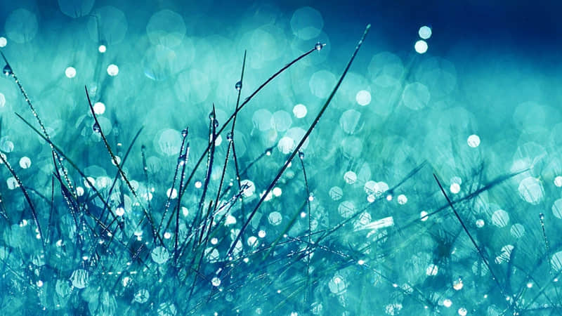 晚上睡不着就这么发笑死你的朋友圈_wishdown.com 晚上睡不着就这么发笑死你的朋友圈_wishdown.com