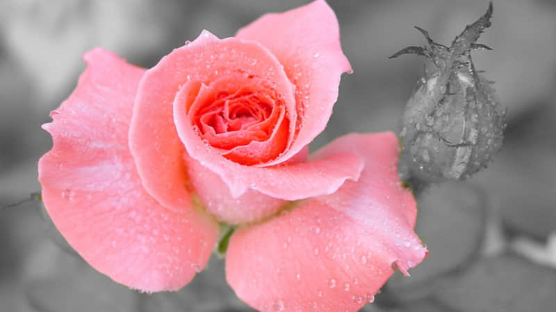 好文案一句就够_wishdown.com 好文案一句就够_wishdown.com