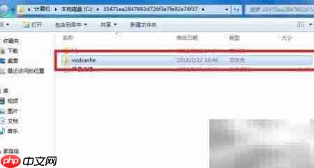 2020腾讯视频qlv转mp4_果粉控_wishdown.com 2020腾讯视频qlv转mp4