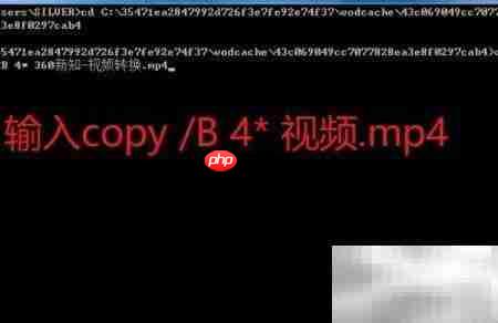 2020腾讯视频qlv转mp4_果粉控_wishdown.com 2020腾讯视频qlv转mp4