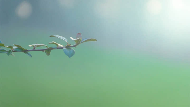 ���öԷ����������ô��