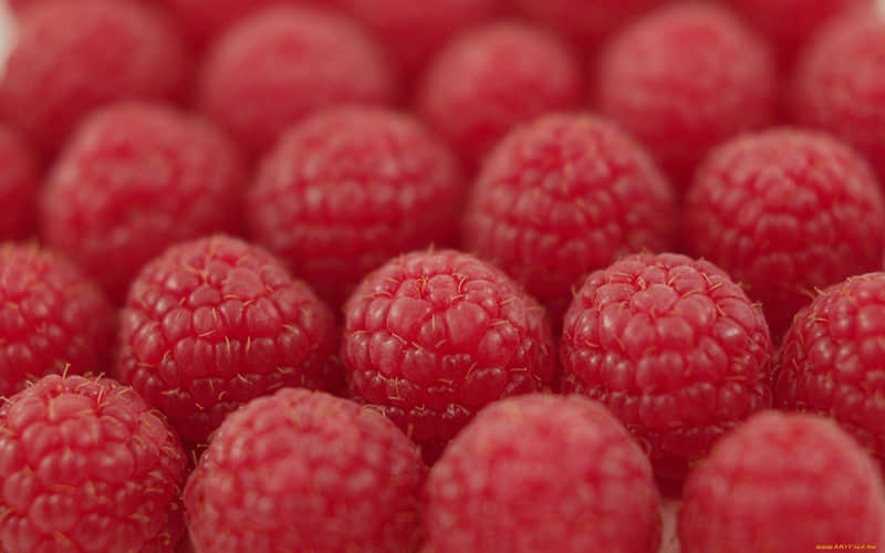 女人极度清醒时朋友圈这样发男人看了无法释怀_wishdown.com 女人极度清醒时朋友圈这样发男人看了无法释怀_wishdown.com