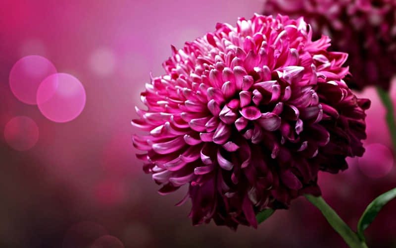 女人极度清醒时朋友圈这样发男人看了无法释怀_wishdown.com 女人极度清醒时朋友圈这样发男人看了无法释怀_wishdown.com