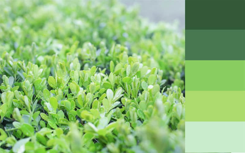 这段话适合所有女人越品越清醒_wishdown.com 这段话适合所有女人越品越清醒_wishdown.com