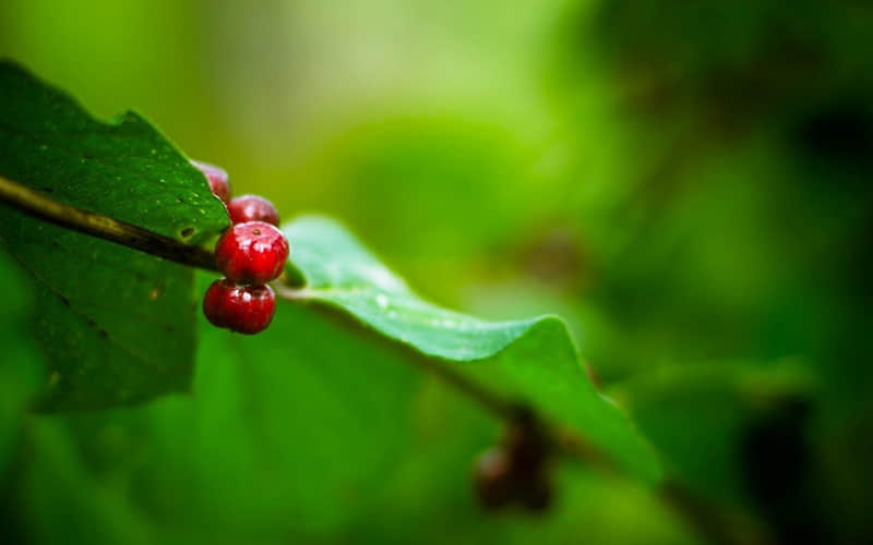 这段话适合所有女人越品越清醒_wishdown.com 这段话适合所有女人越品越清醒_wishdown.com