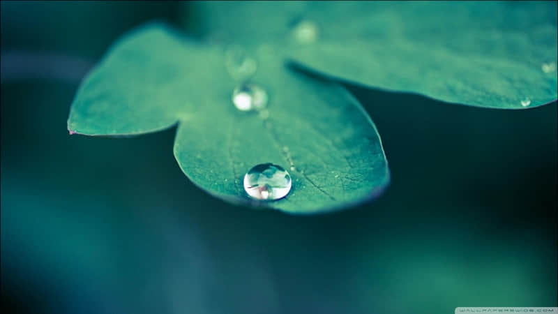 突然一下子就不焦虑了真好_wishdown.com 突然一下子就不焦虑了真好_wishdown.com