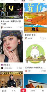 ��ιر�С�����м�