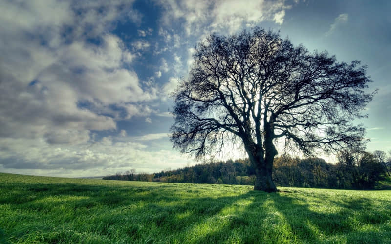 ������ι��������ֵ��������