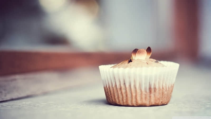 ѧһ��ȥ�����������