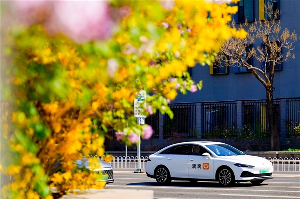 ����������ע�⣺���߷���ǰ����������239%