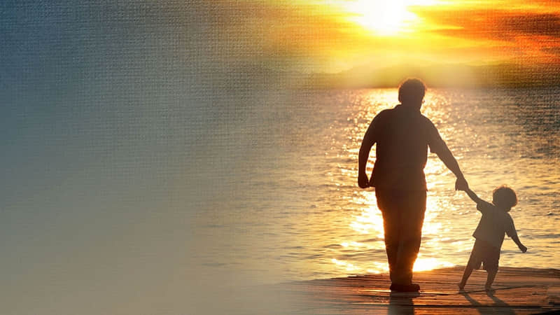 �κι�ϵ������������