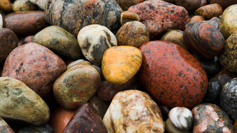 һ����Ը��Ը����㵱���Լ��˴����Ĳ���Ҳ�治��