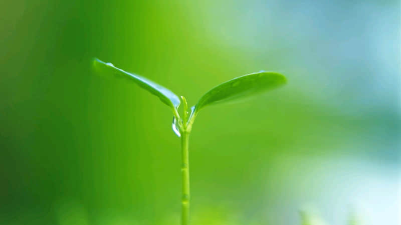 又怂又窝囊的搞笑文案笑不活了_wishdown.com 又怂又窝囊的搞笑文案笑不活了_wishdown.com