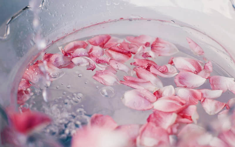 又怂又窝囊的搞笑文案笑不活了_wishdown.com 又怂又窝囊的搞笑文案笑不活了_wishdown.com