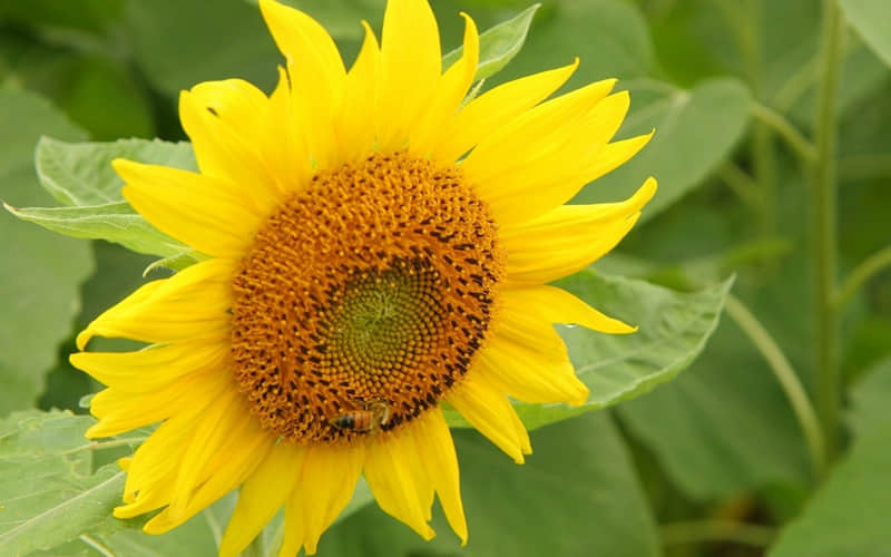 偷偷背梗做聊天鬼才_wishdown.com 偷偷背梗做聊天鬼才_wishdown.com