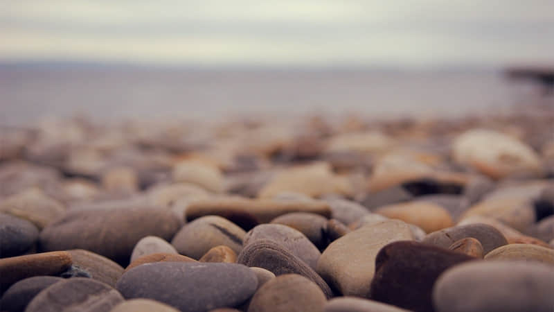 句句像夸人句句在骂人_wishdown.com 句句像夸人句句在骂人_wishdown.com