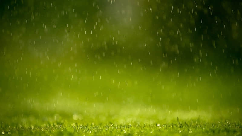 出去玩四字朋友圈很赞_wishdown.com 出去玩四字朋友圈很赞_wishdown.com