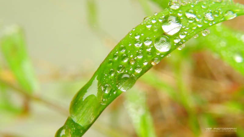 出去玩四字朋友圈很赞_wishdown.com 出去玩四字朋友圈很赞_wishdown.com