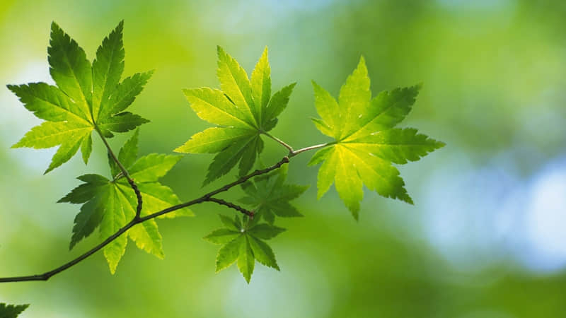 把男人哄上天这几句就够了_wishdown.com 把男人哄上天这几句就够了_wishdown.com