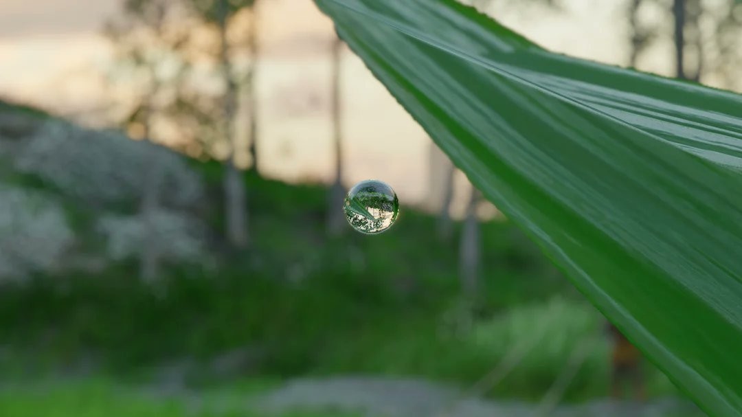 《红色沙漠》惊人细节 一颗小水珠竟能倒映周遭环境_wishdown.com 《红色沙漠》惊人细节 一颗小水珠竟能倒映周遭环境_wishdown.com