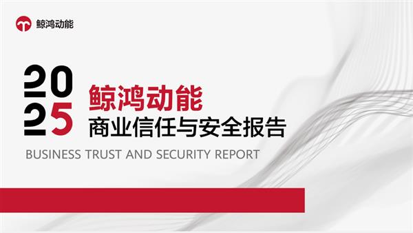 ���趯�ܷ�����2025����ҵ�����밲ȫ���桷