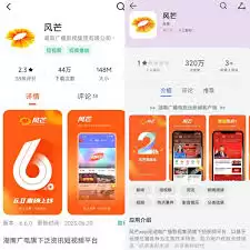 风芒如何进行投屏-风芒怎样实现投屏_wishdown.com 风芒如何进行投屏-风芒怎样实现投屏_wishdown.com
