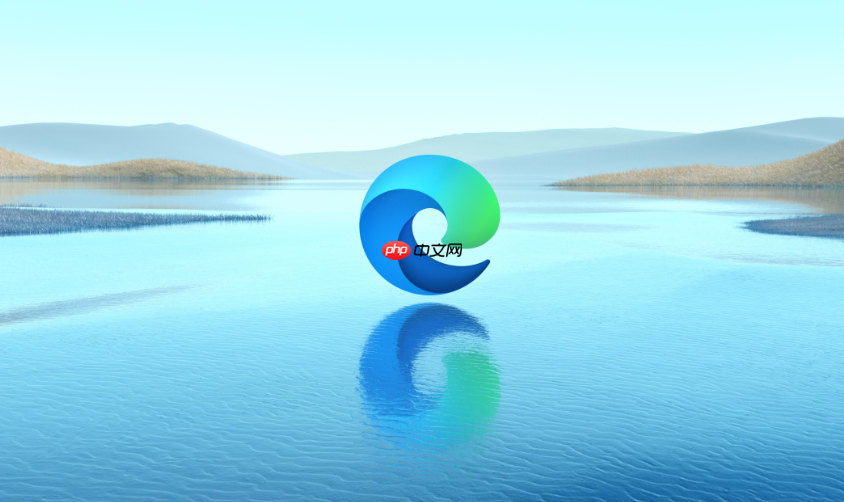 Edge�����Drop��ô���ֻ��˽���_Edge������ƶ��˿������_���ۿ�