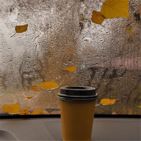 ��������������˸�Ů��(��ѡ100��)