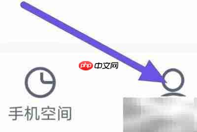 2345������Ӧ��αװ���÷���