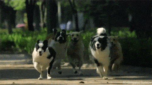 ���+ɳ������ô�о�һ�ż������ͱ�