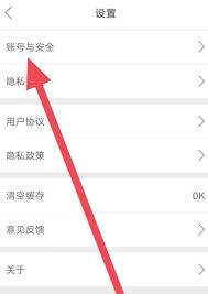 船讯网如何查看账号与安全-船讯网怎样查看账号及安全_wishdown.com 船讯网如何查看账号与安全-船讯网怎样查看账号及安全_wishdown.com
